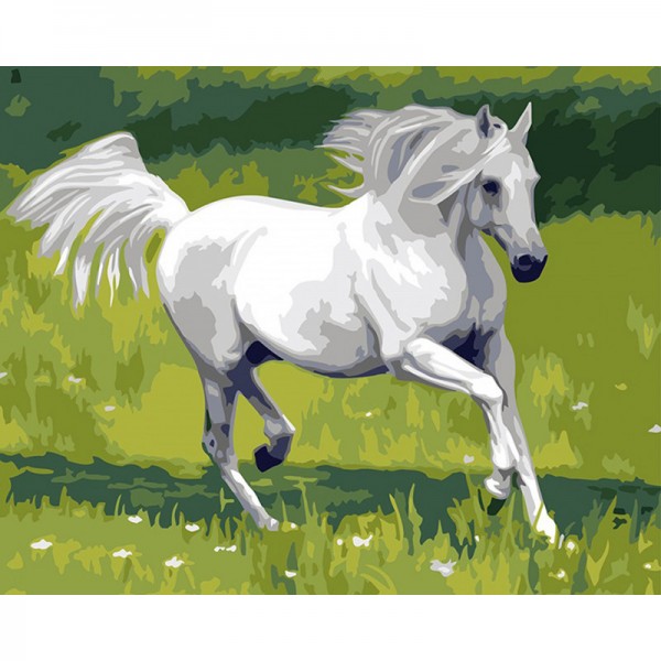 Running White Horse - Painting by Numbers Canada