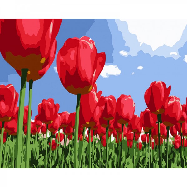 Tulips Spring Flowers - Painting by Numbers Canada